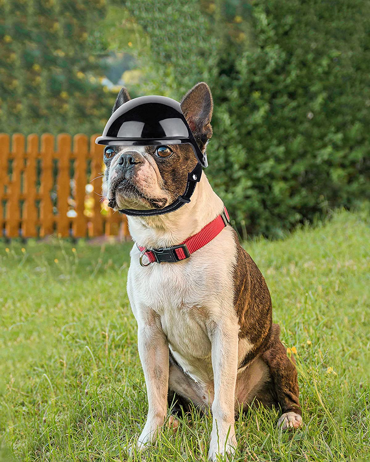 Pet Dog Motorcycle Out Decoration Helmet | Luxury Home Accessories | Heulog Glow