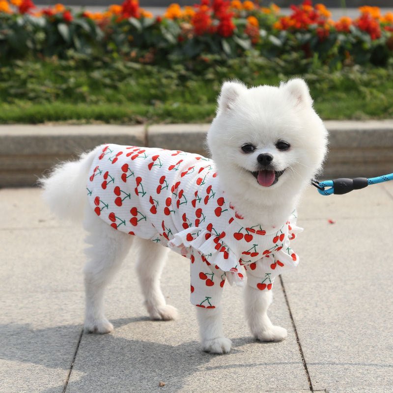 Pet Dog Print Bottoming Shirt Coat | Luxury Home Accessories | Heulog Glow