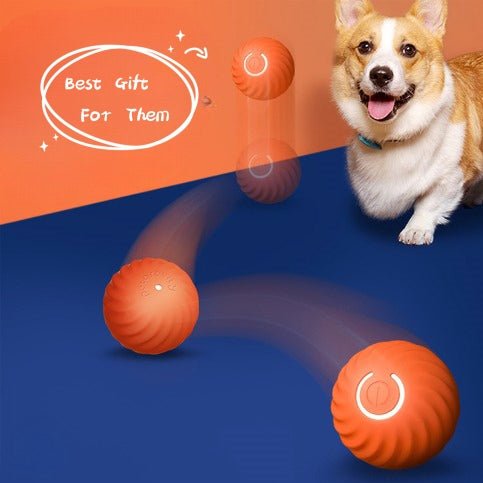 Pet Dog Rubber Ball Toys For Dogs Resistance To Bite Dog Chew Toys Puppy Pets Dogs Training Products | Luxury Home Accessories | Heulog Glow