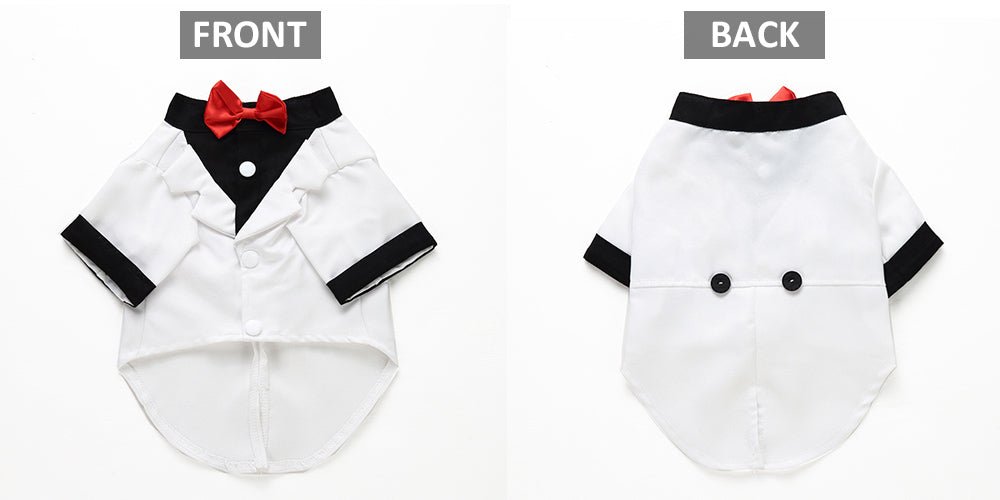 Pet dog suit | Luxury Home Accessories | Heulog Glow