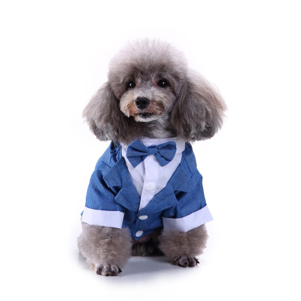 Pet dog suit | Luxury Home Accessories | Heulog Glow