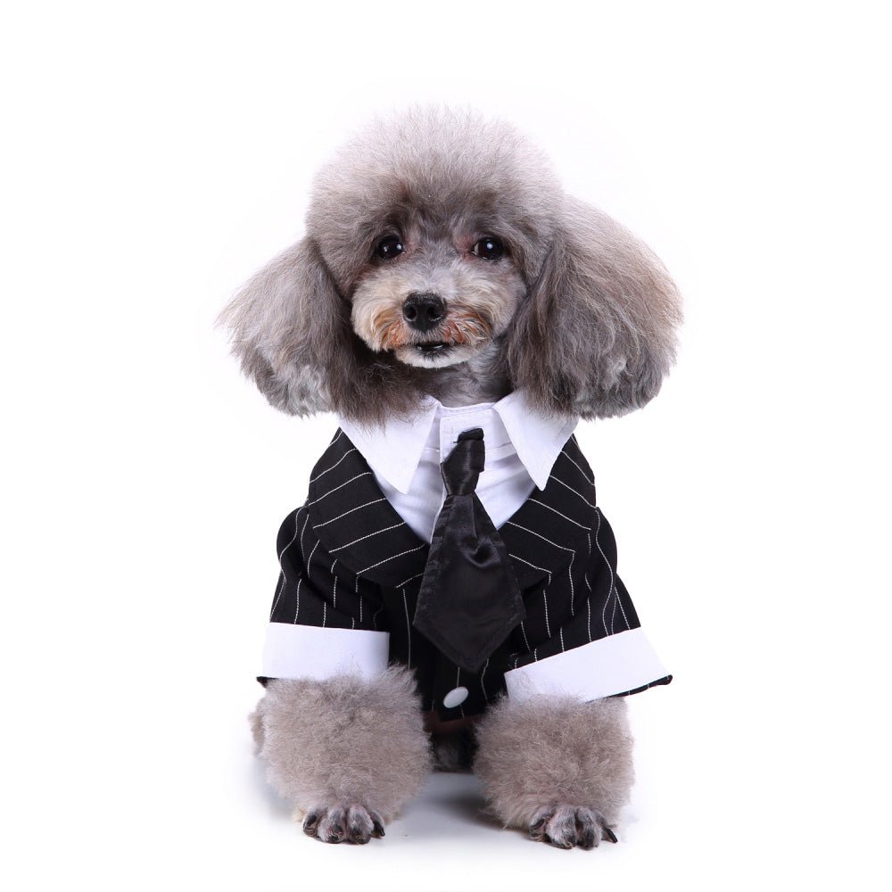 Pet dog suit | Luxury Home Accessories | Heulog Glow