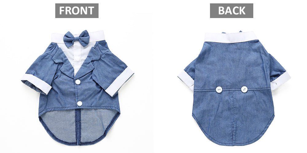 Pet dog suit | Luxury Home Accessories | Heulog Glow