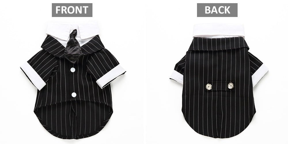 Pet dog suit | Luxury Home Accessories | Heulog Glow
