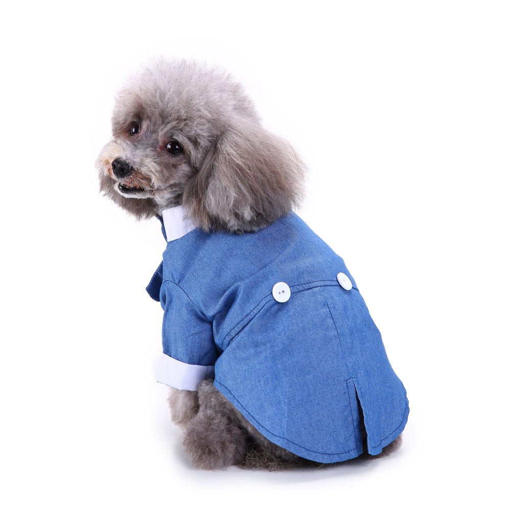Pet dog suit | Luxury Home Accessories | Heulog Glow
