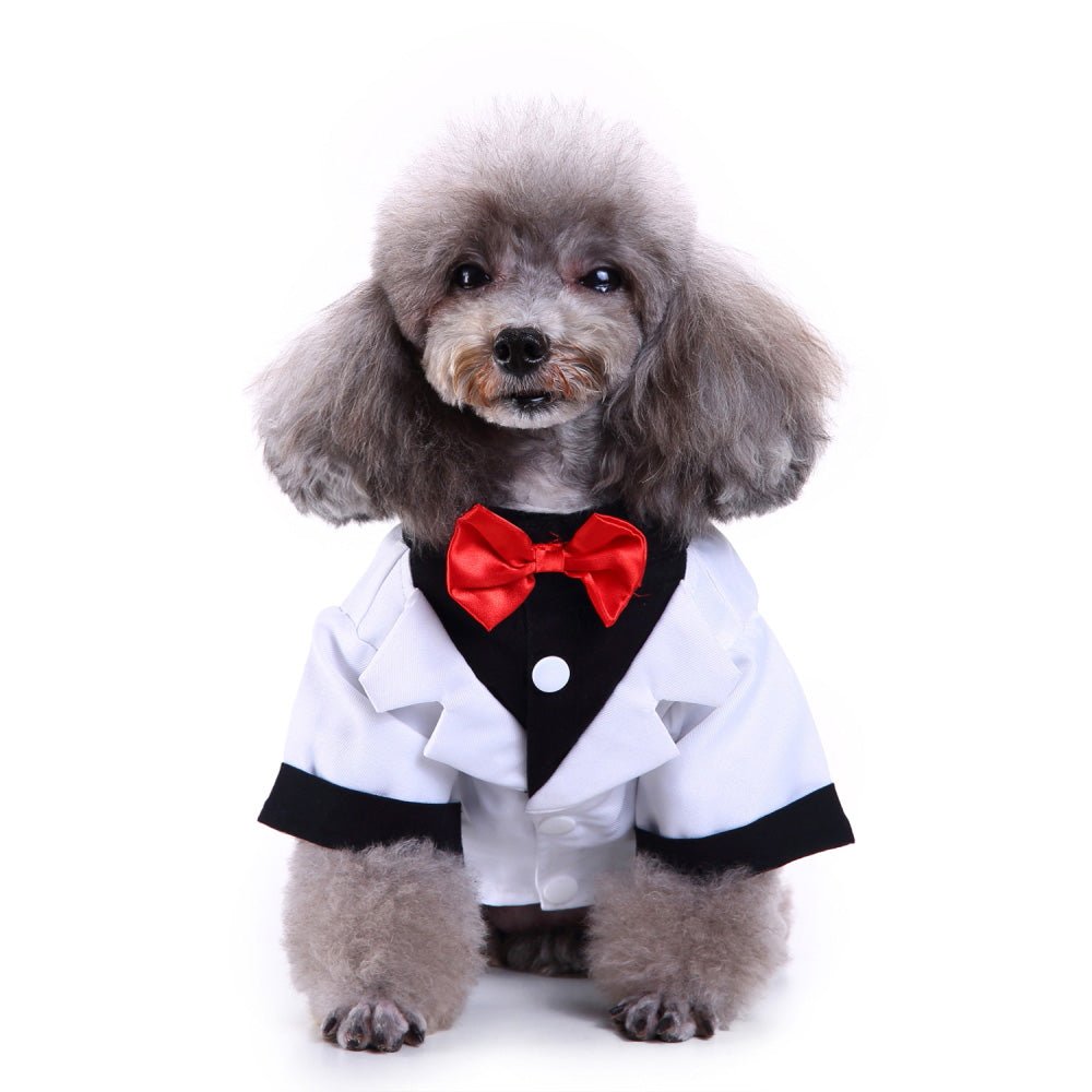 Pet dog suit | Luxury Home Accessories | Heulog Glow