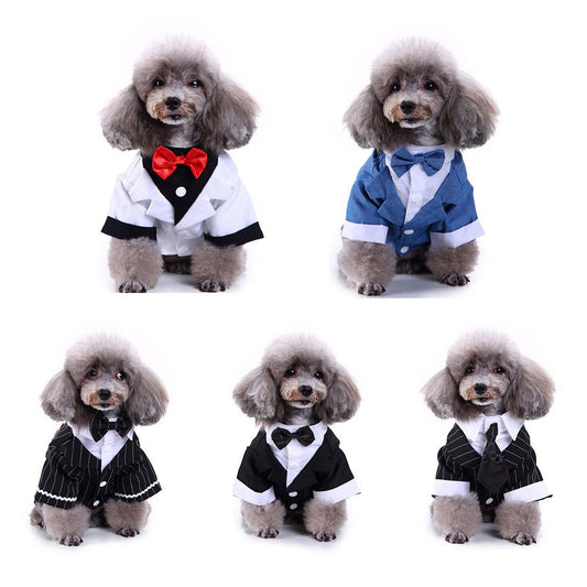 Pet dog suit | Luxury Home Accessories | Heulog Glow