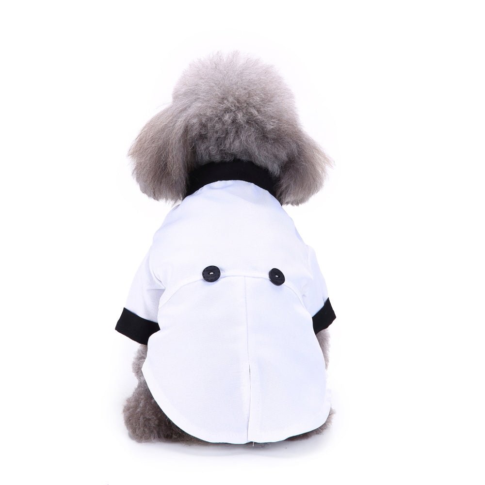 Pet dog suit | Luxury Home Accessories | Heulog Glow