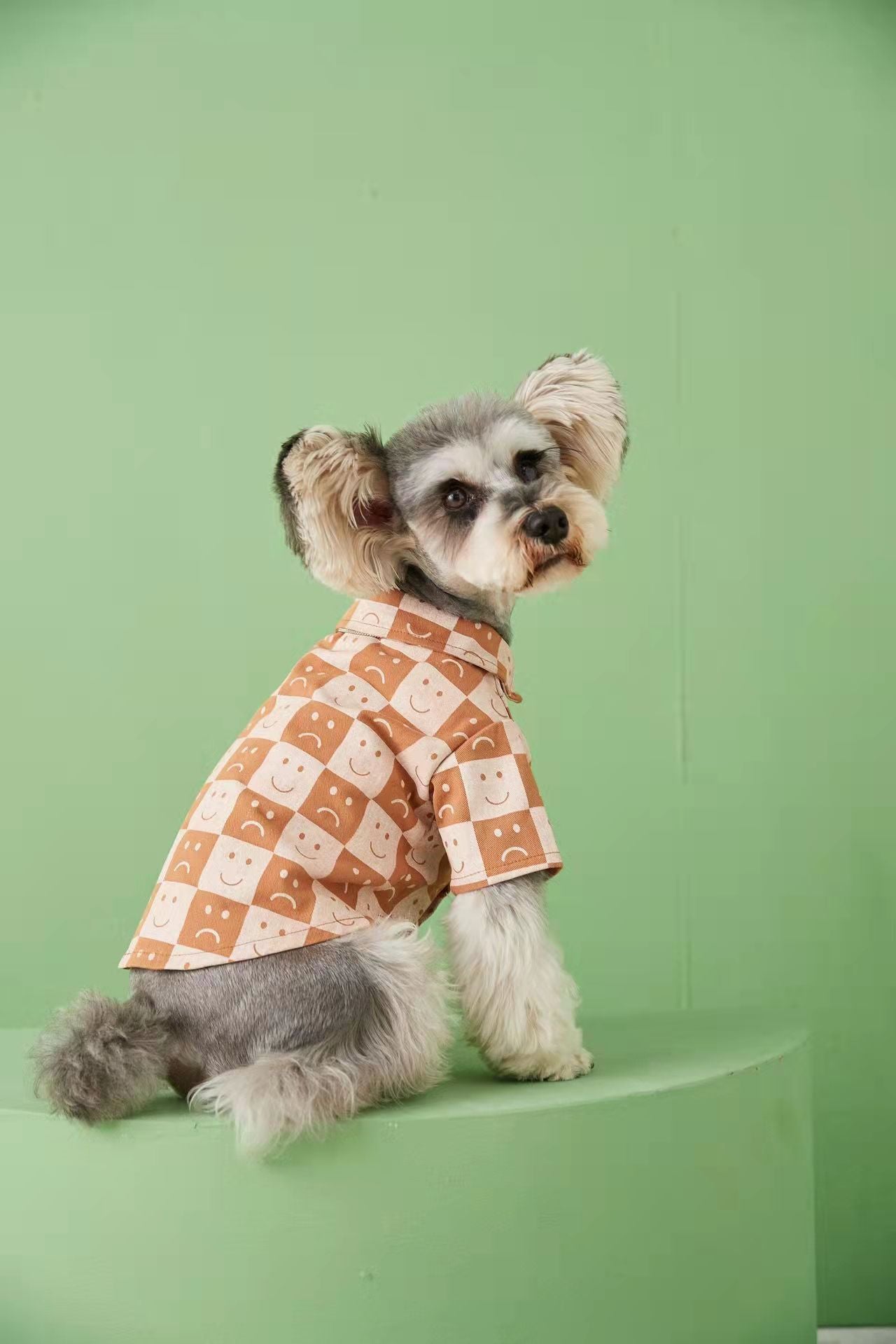 Pet Fadou Checked Denim Shirt | Luxury Home Accessories | Heulog Glow