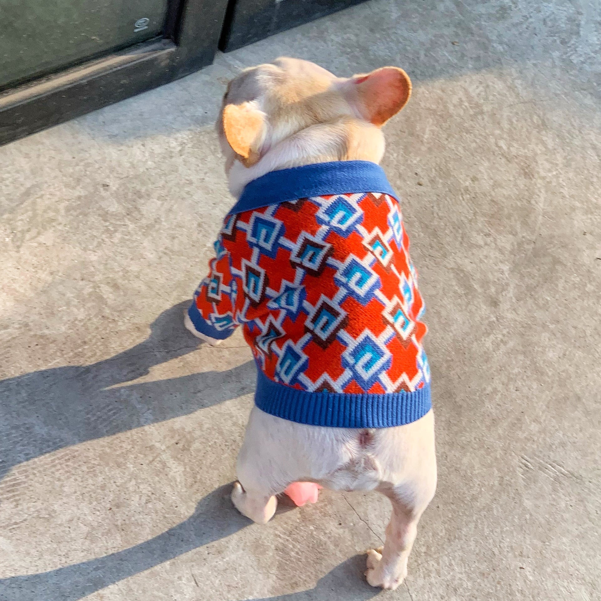 Pet Fashion Brand Clothes Dog Cat Fight | Luxury Home Accessories | Heulog Glow