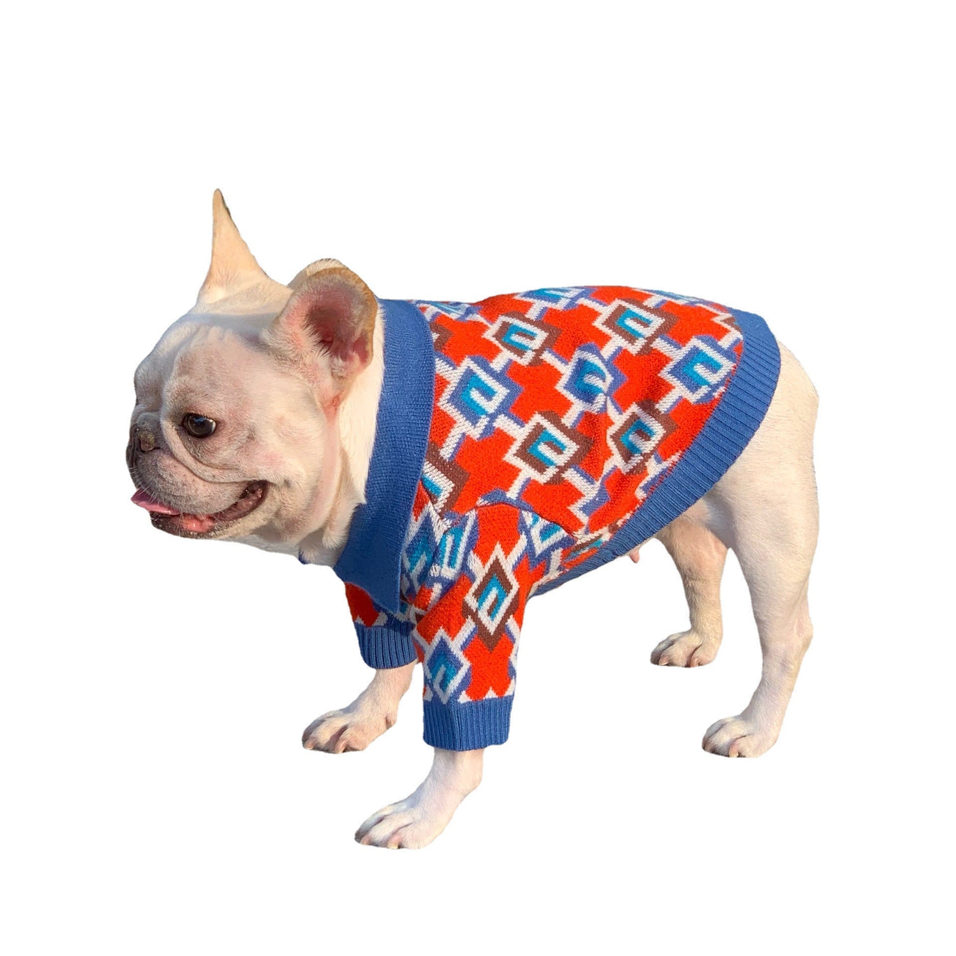 Pet Fashion Brand Clothes Dog Cat Fight | Luxury Home Accessories | Heulog Glow