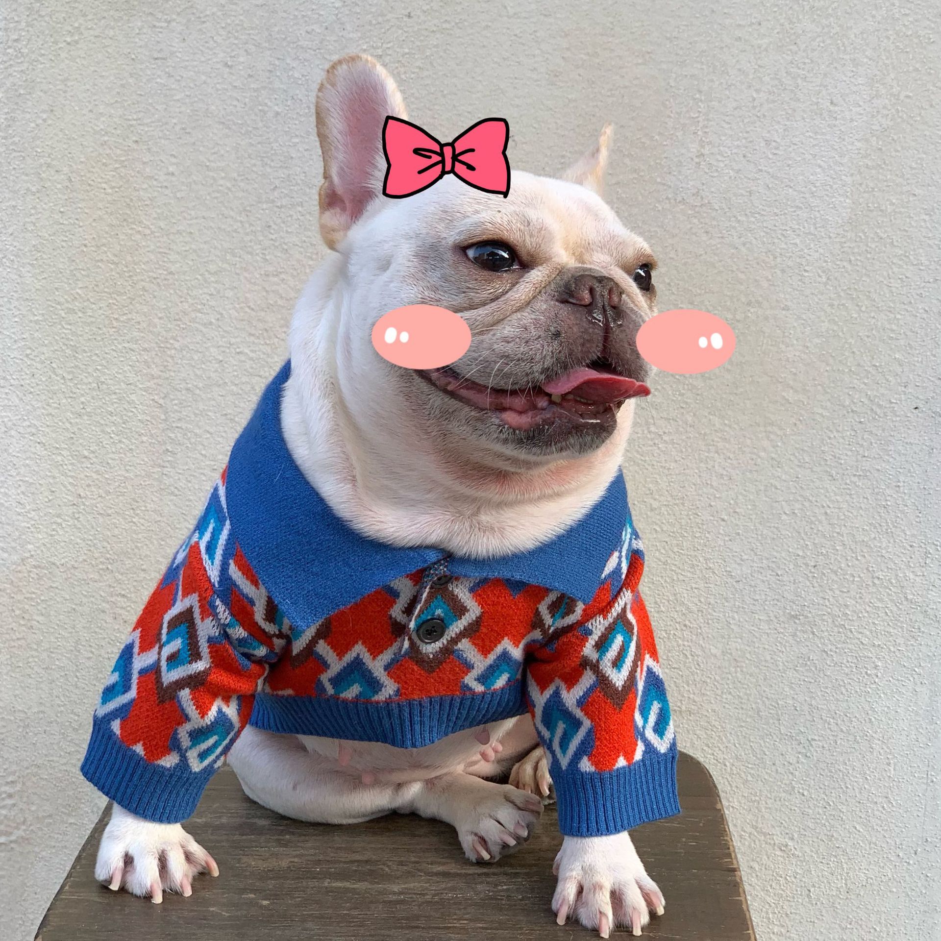Pet Fashion Brand Clothes Dog Cat Fight | Luxury Home Accessories | Heulog Glow