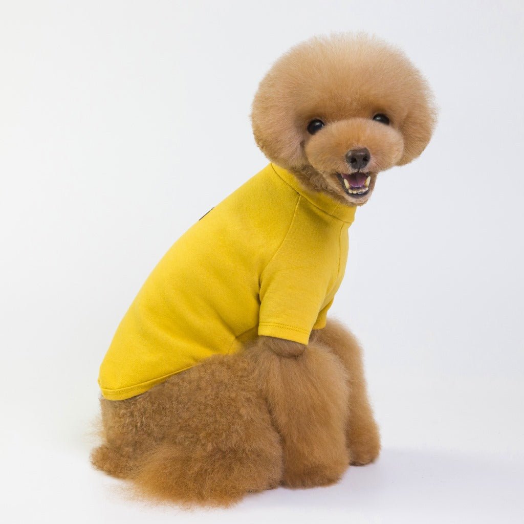 Pet full three-color base shirt | Luxury Home Accessories | Heulog Glow
