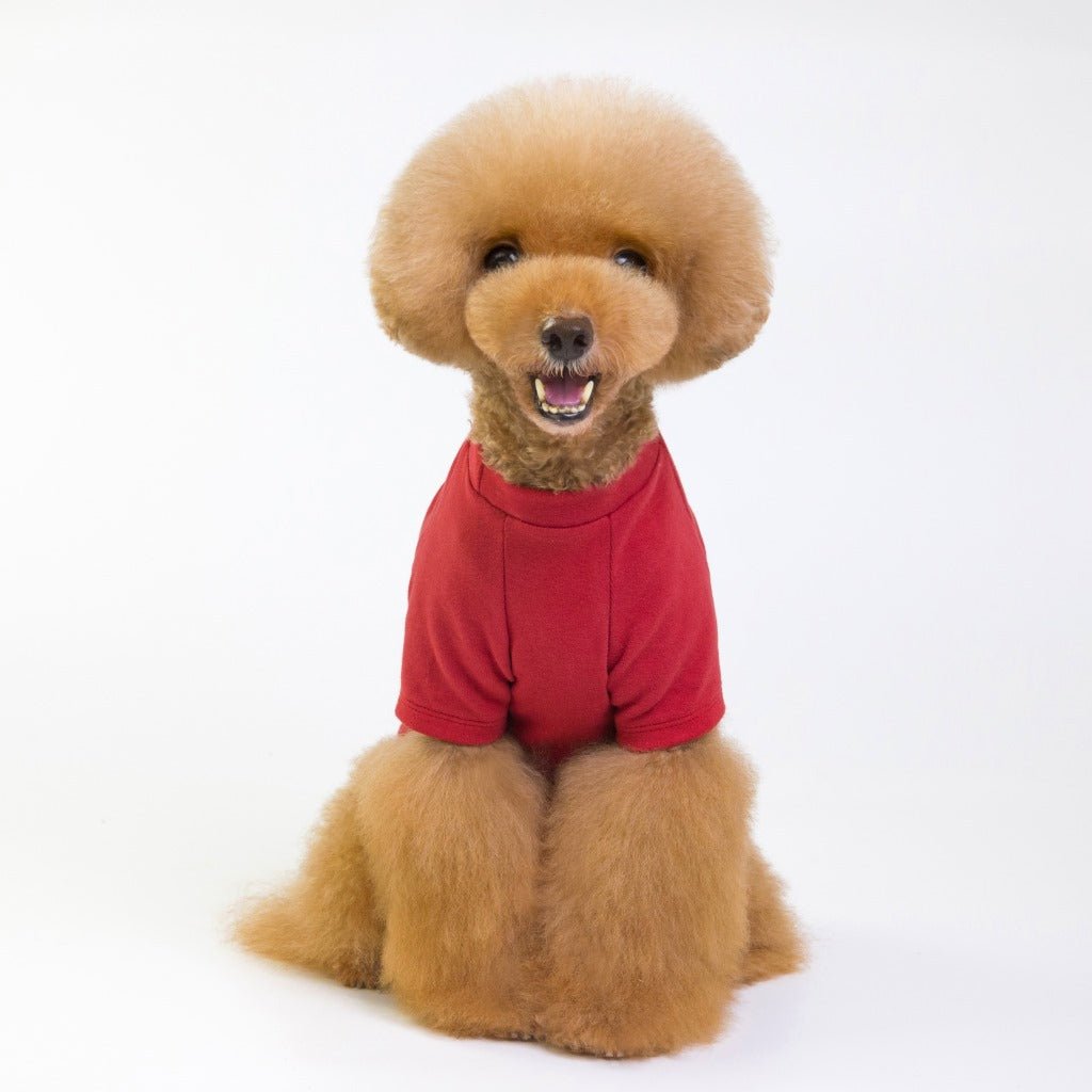 Pet full three-color base shirt | Luxury Home Accessories | Heulog Glow