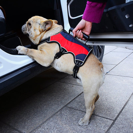 Pet Hand Holding Rope Vest Tactical Big Dog Chest Strap Reflective Explosion-proof Dog Hand Holding Rope | Luxury Home Accessories | Heulog Glow