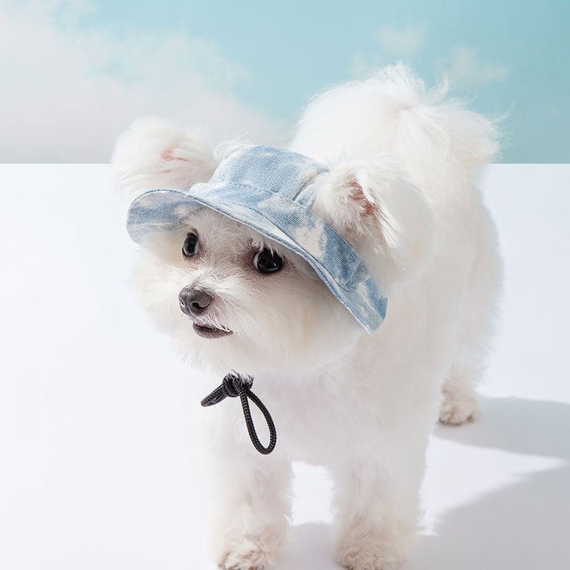 Pet Hat Cute Leaking Ears Anti-fall Off | Luxury Home Accessories | Heulog Glow