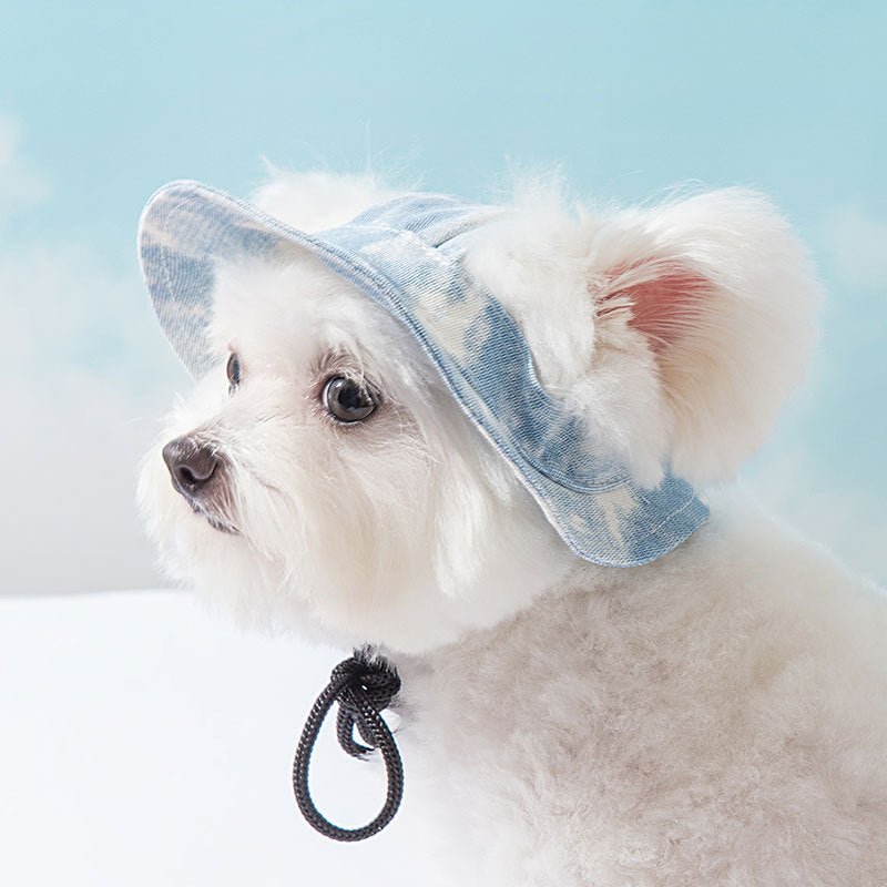 Pet Hat Cute Leaking Ears Anti-fall Off | Luxury Home Accessories | Heulog Glow