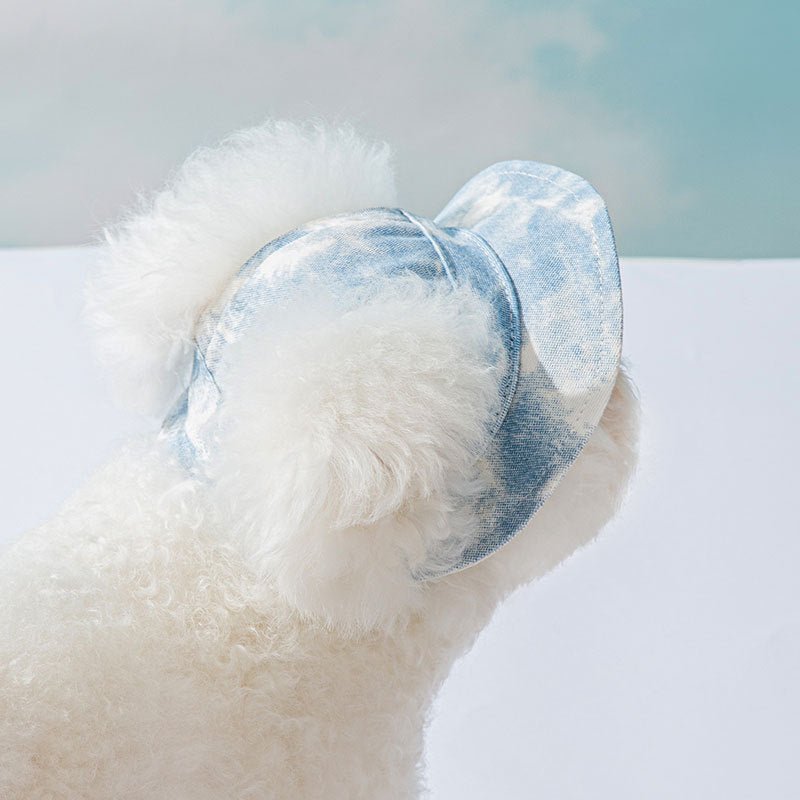 Pet Hat Cute Leaking Ears Anti-fall Off | Luxury Home Accessories | Heulog Glow