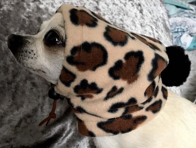 Pet Hat Warm Drawstring Adjustment Cap | Luxury Home Accessories | Heulog Glow