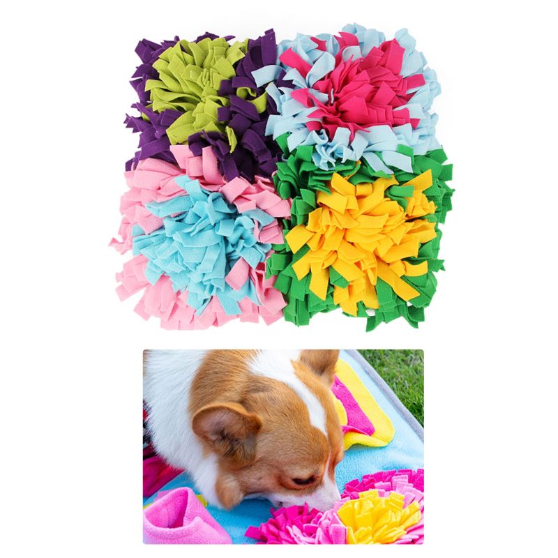 Pet hot style sniffs the mat | Luxury Home Accessories | Heulog Glow