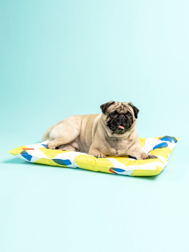 Pet Ice Pad Cooling Pad Gel Cooling Sleeping Pad Non-Sticky Dog Pad | Luxury Home Accessories | Heulog Glow