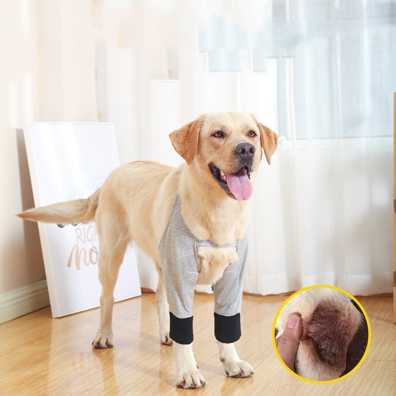 Pet Knee Pads For Cold And Warmth Protection | Luxury Home Accessories | Heulog Glow