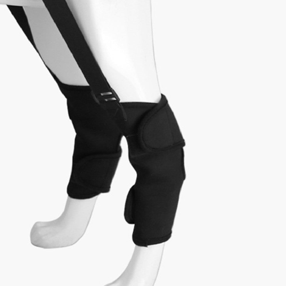 Pet Leg Support Protective Cover | Luxury Home Accessories | Heulog Glow