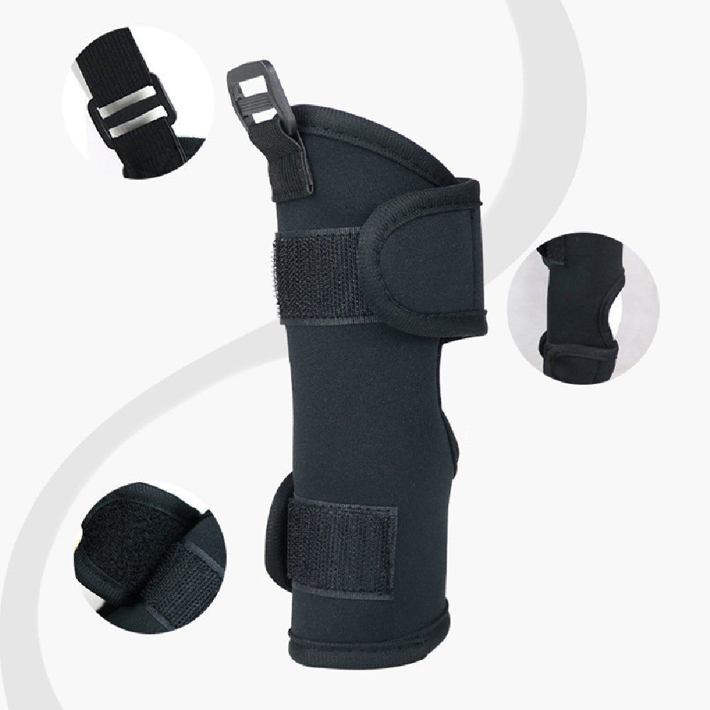 Pet Leg Support Protective Cover | Luxury Home Accessories | Heulog Glow