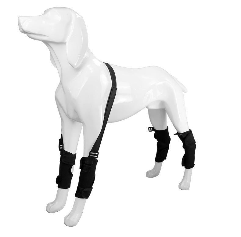 Pet Leg Support Protective Cover | Luxury Home Accessories | Heulog Glow