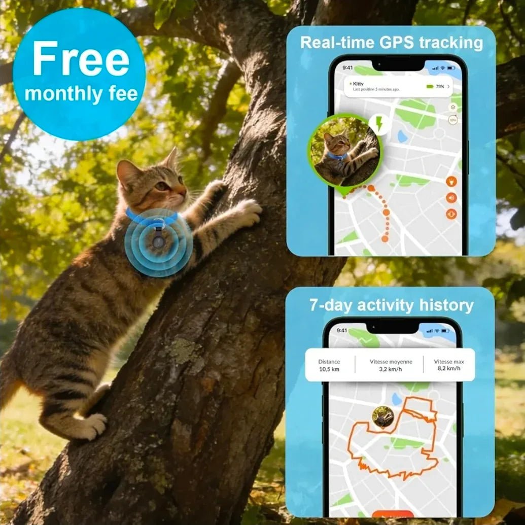 Pet Live Collar Tracker | Luxury Home Accessories | Heulog Glow