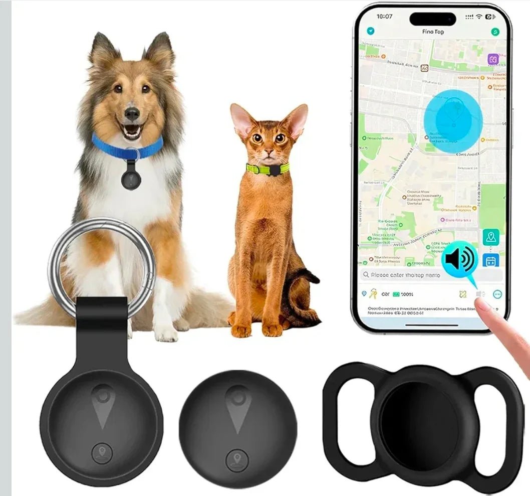 Pet Live Collar Tracker | Luxury Home Accessories | Heulog Glow