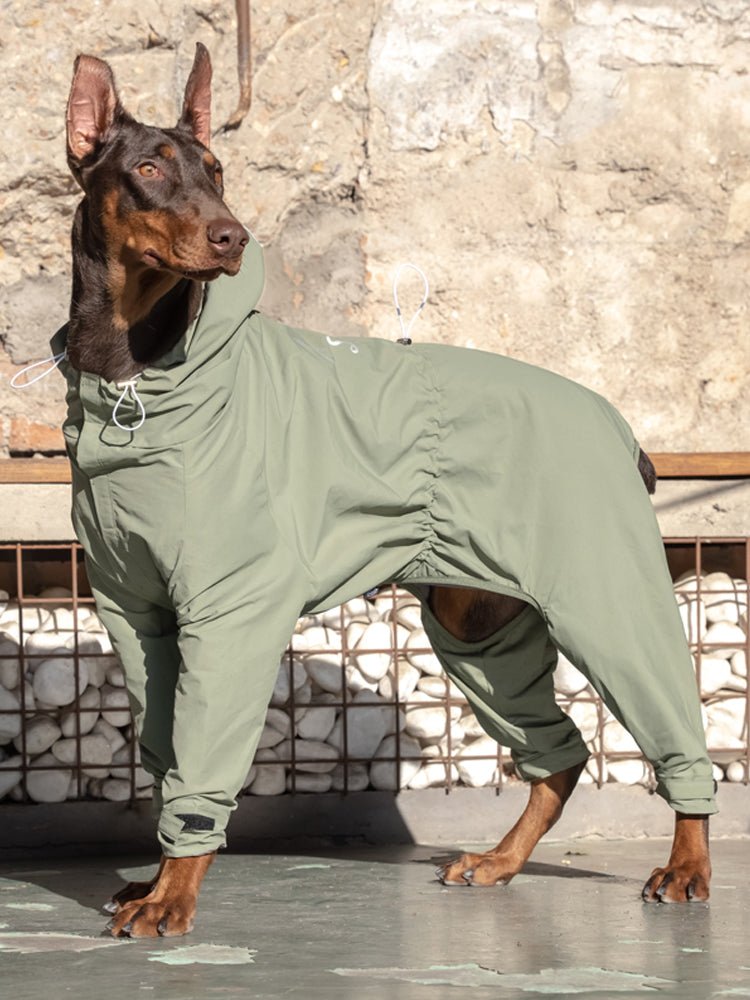 Pet Medium And Large Shiba Inu Four-legged One-piece Tooling Outdoor Mountaineering Suit Casual Assault Clothes | Luxury Home Accessories | Heulog Glow