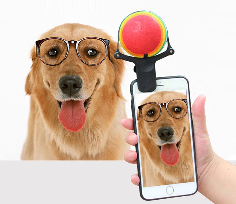 Pet photo props toy pet photo selfie artifact funny dog camera phone clip tennis selfie clip | Luxury Home Accessories | Heulog Glow