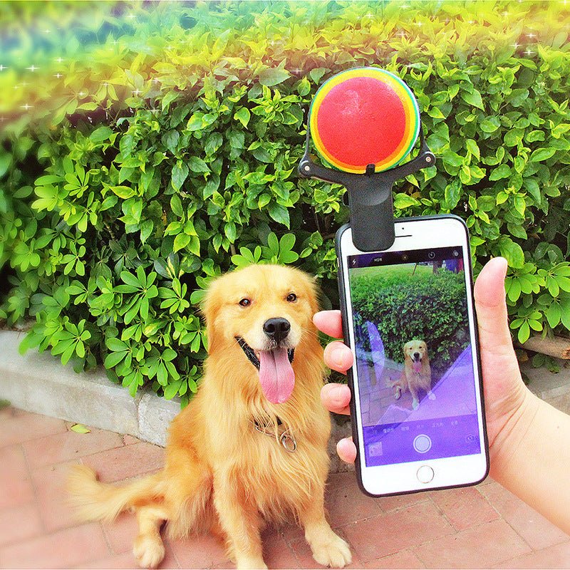 Pet photo props toy pet photo selfie artifact funny dog camera phone clip tennis selfie clip | Luxury Home Accessories | Heulog Glow