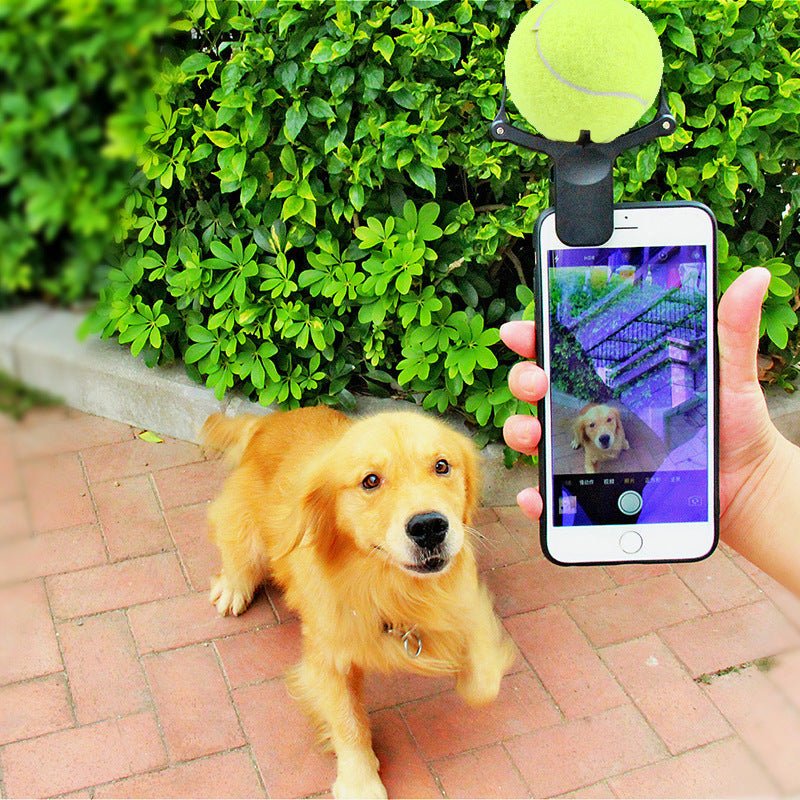 Pet photo props toy pet photo selfie artifact funny dog camera phone clip tennis selfie clip | Luxury Home Accessories | Heulog Glow