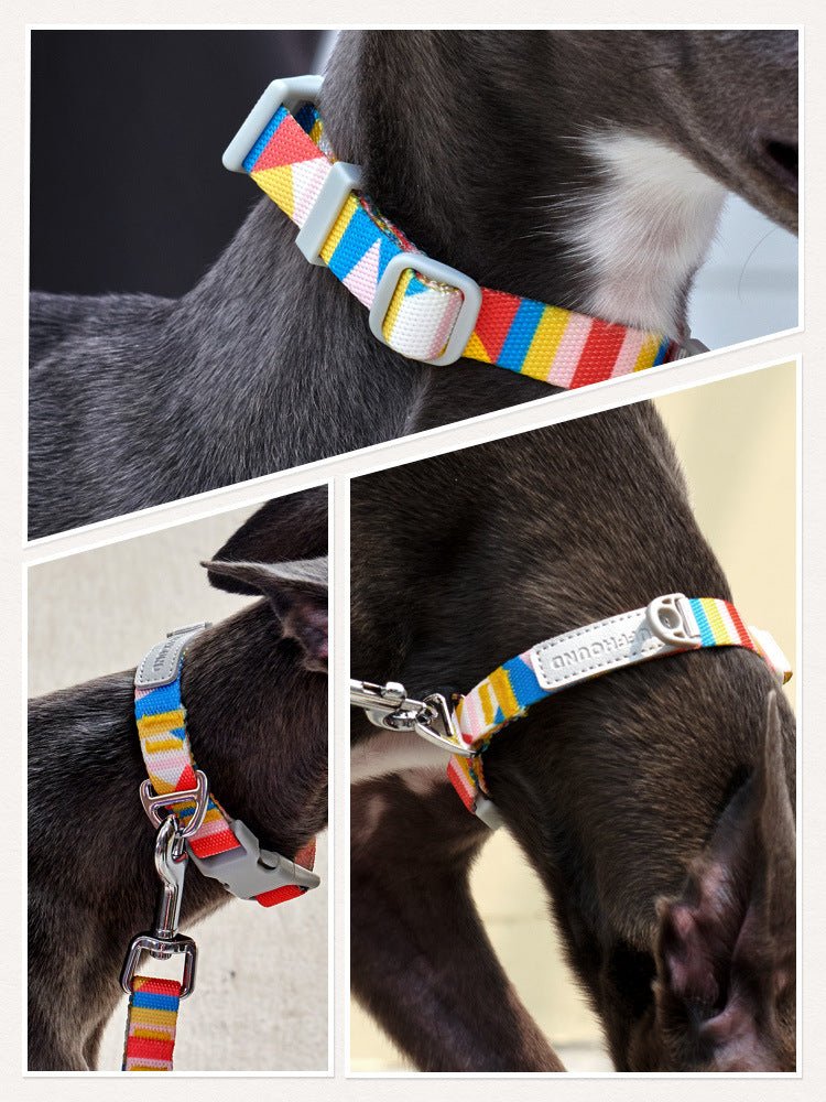 Pet Products For Small Medium And Large Dogs | Luxury Home Accessories | Heulog Glow