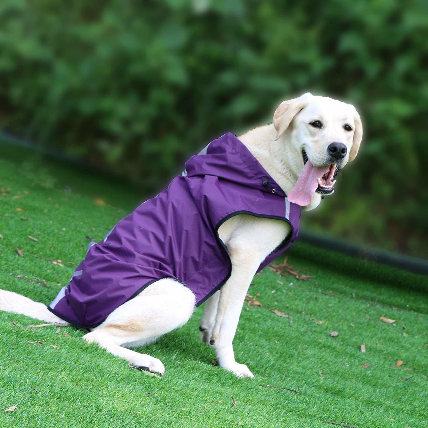 Pet Raincoat Is Waterproof And Easy To Put On And Take Off | Luxury Home Accessories | Heulog Glow