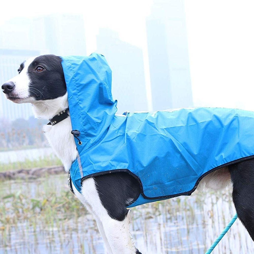 Pet Raincoat Is Waterproof And Easy To Put On And Take Off | Luxury Home Accessories | Heulog Glow