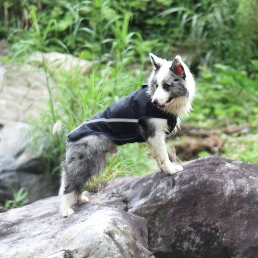 Pet Raincoat Water Repellent For Dogs | Luxury Home Accessories | Heulog Glow