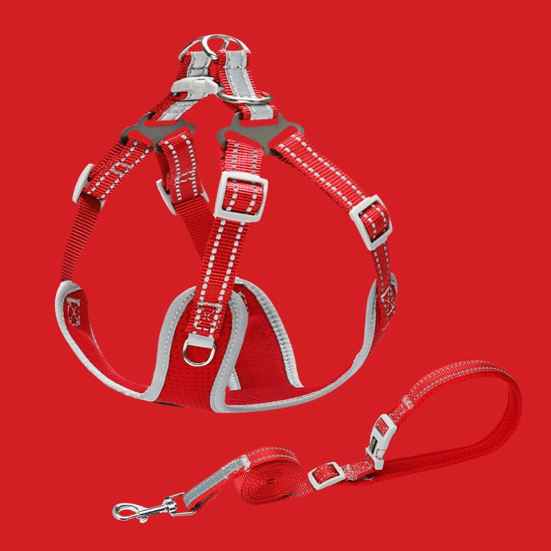 Pet Small And Medium Sized Dog Vest Collar Traction Rope | Luxury Home Accessories | Heulog Glow