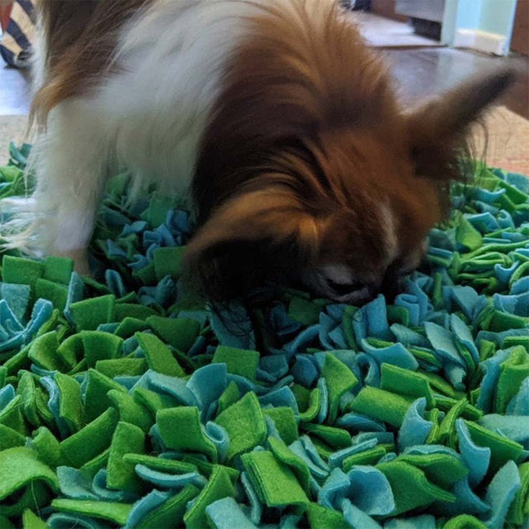 Pet Smell Pad Interactive Splicing Supplies Slow Food Training | Luxury Home Accessories | Heulog Glow