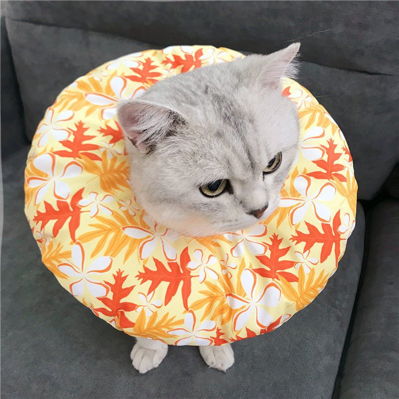Pet Sterilization Shame Circle Cotton Collar | Luxury Home Accessories | Heulog Glow