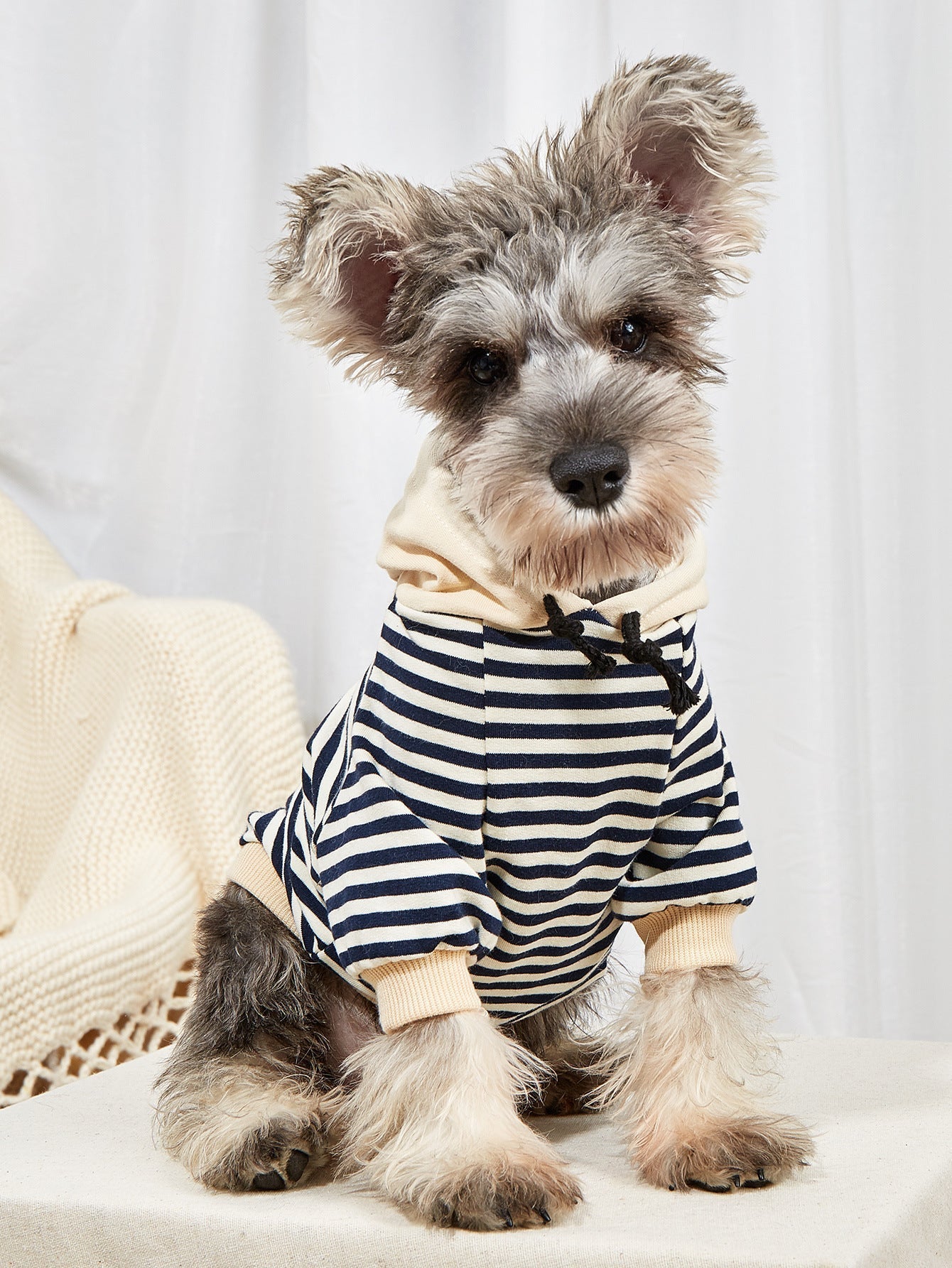 Pet Striped Sweater Dog Fashion Hooded Clothes | Luxury Home Accessories | Heulog Glow