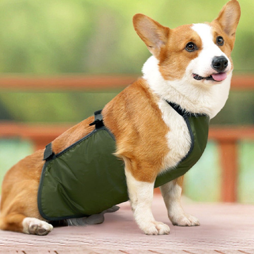 Pet Supplies Medium Large Dog Apron Water And Dirt Resistant S | Luxury Home Accessories | Heulog Glow