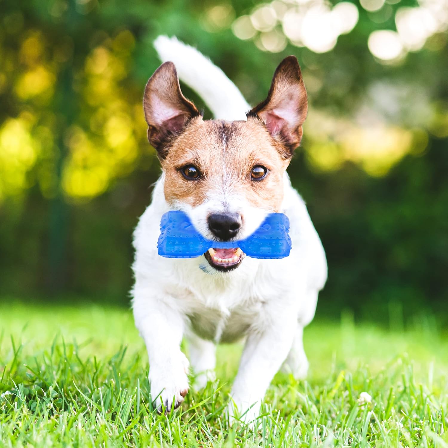 Pet Teether Cooling Chew Toy For Dogs Teething Toy For Puppies Fit With Treats For More | Luxury Home Accessories | Heulog Glow