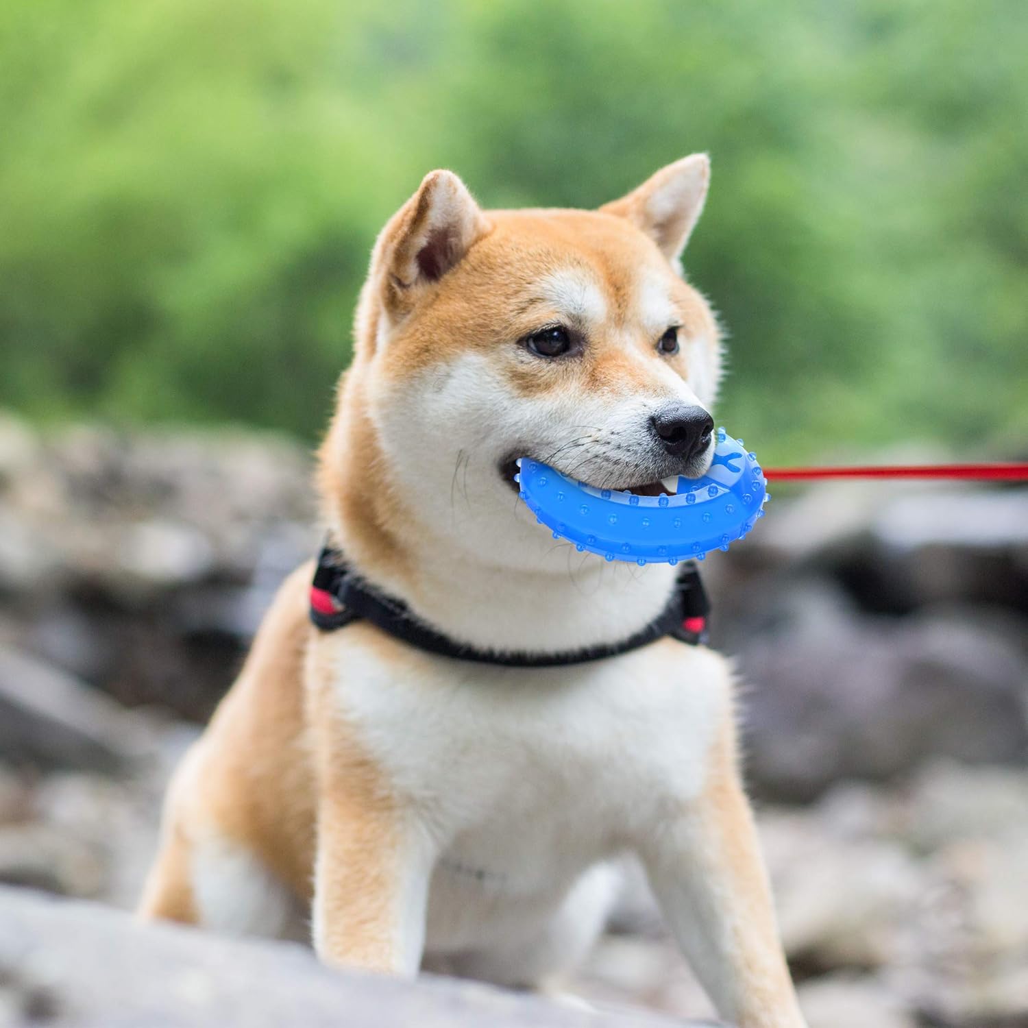 Pet Teether Cooling Chew Toy For Dogs Teething Toy For Puppies Fit With Treats For More | Luxury Home Accessories | Heulog Glow