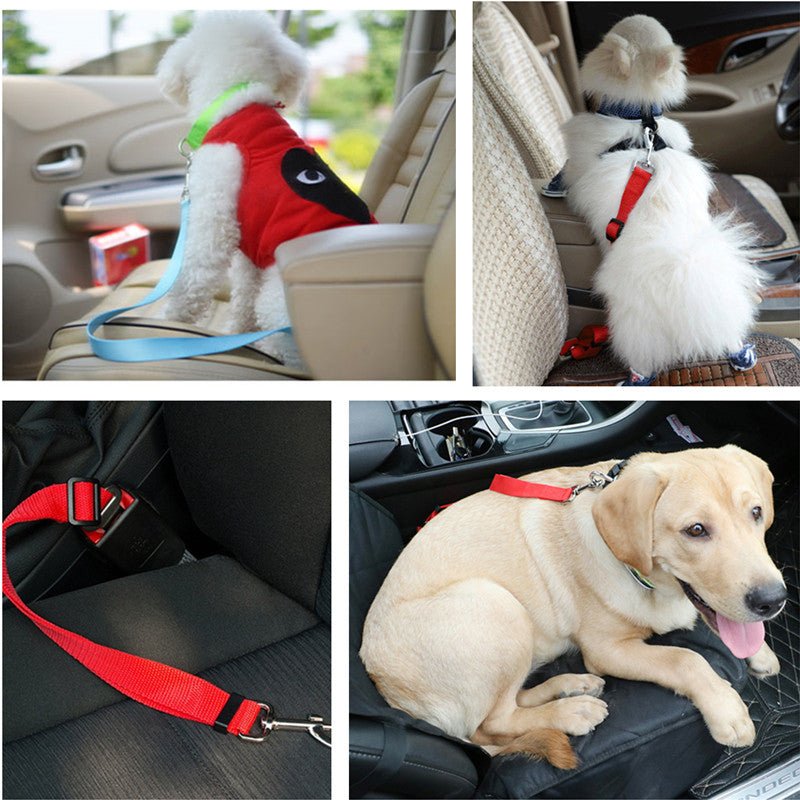 Pet Traction Rope Car Seat Belt | Luxury Home Accessories | Heulog Glow