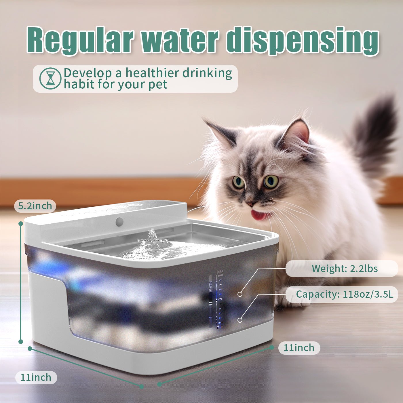 Pet Water Dispenser | Luxury Home Accessories | Heulog Glow