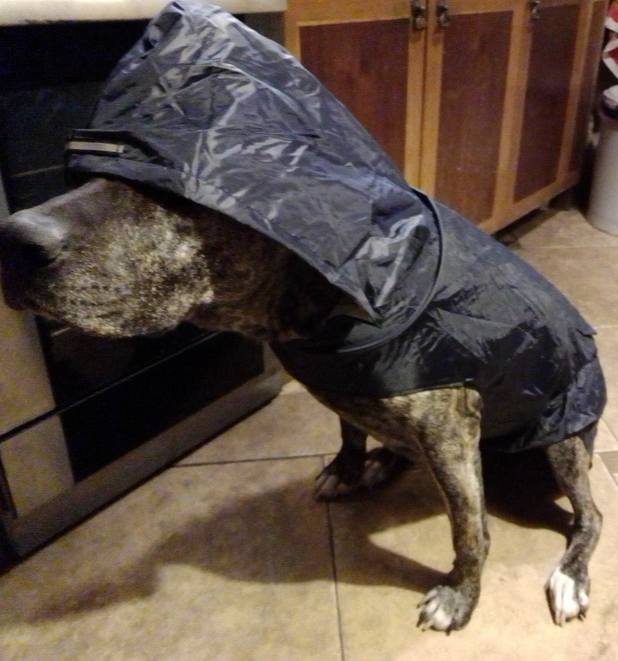 Pet Waterproof Windproof Hood Puppy Raincoat | Luxury Home Accessories | Heulog Glow