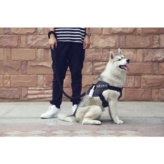Petkit Dog Waste Bag Dispenser Set | Luxury Home Accessories | Heulog Glow